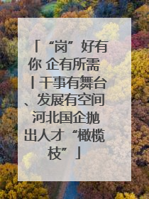 “岗”好有你 企有所需丨干事有舞台、发展有空间 河北国企抛出人才“橄榄枝”